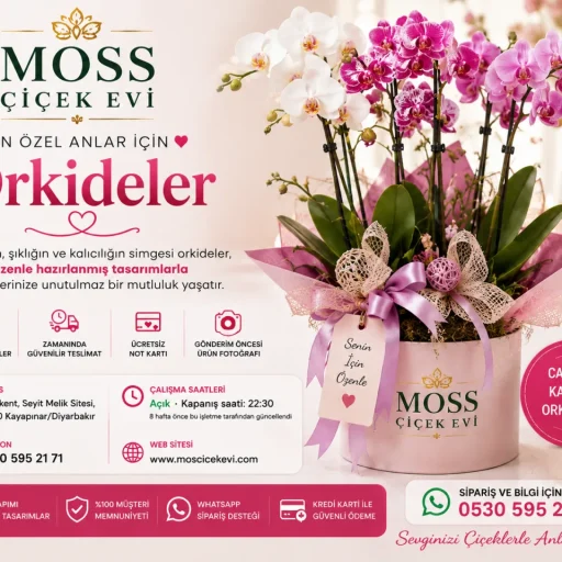 Orkideler